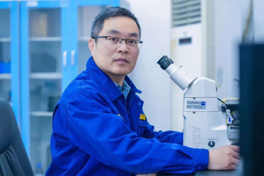 LETOU - 乐投(中文)官方网站