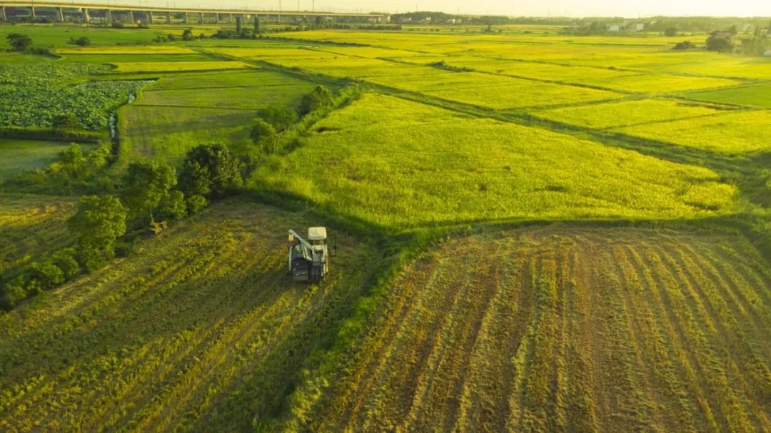 LETOU - 乐投(中文)官方网站
