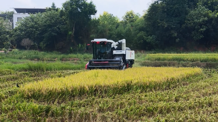 XR720跨区水稻机，，，，，，高效作业促丰收