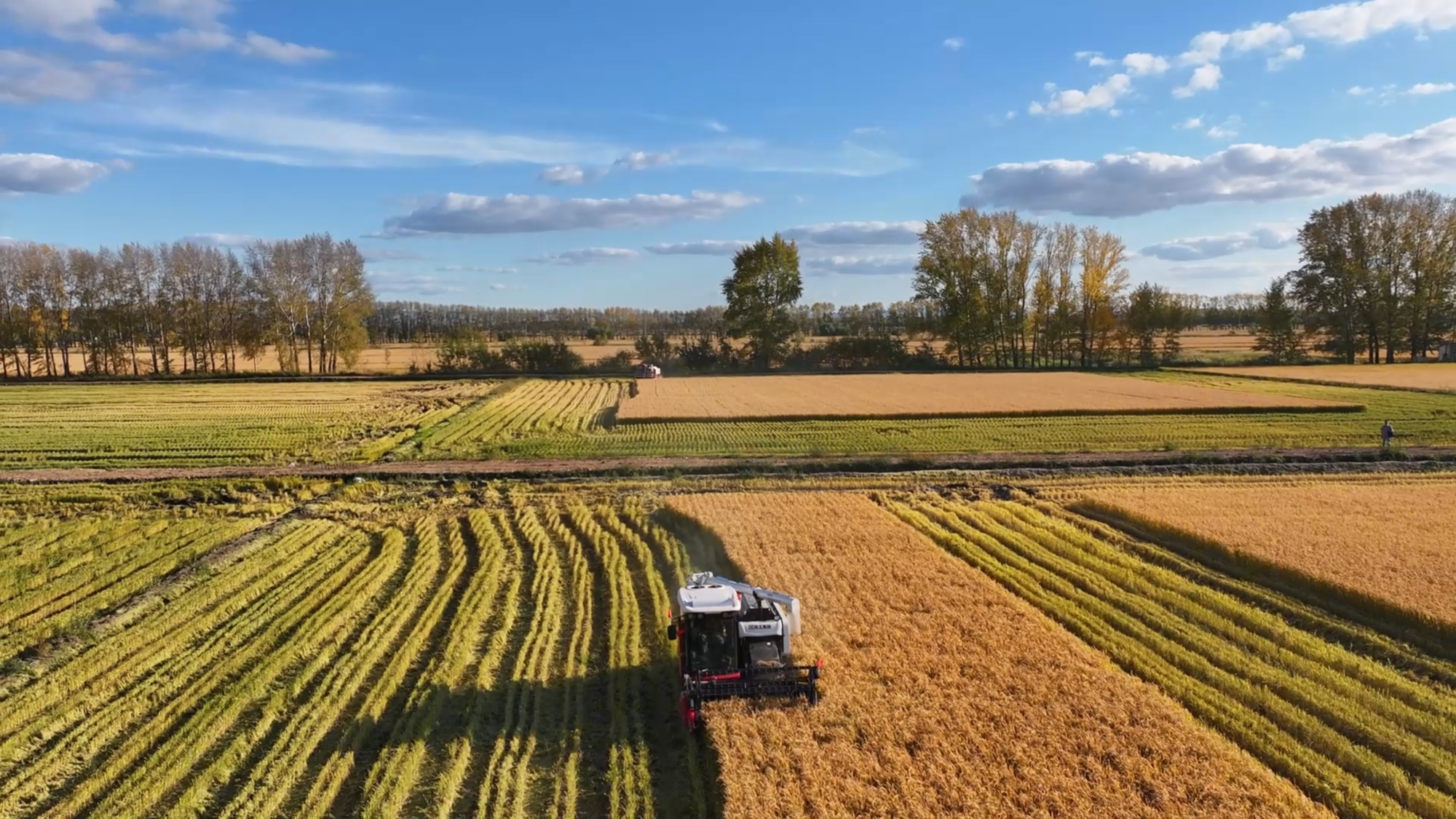 LETOU - 乐投(中文)官方网站